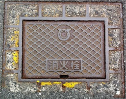 ���ɓ������ΐ�