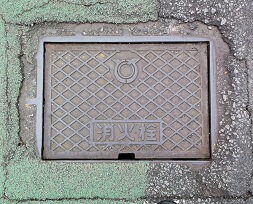 ���ɓ������ΐ�