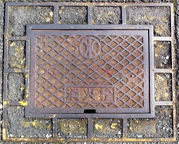 ���ɓ������ΐ�