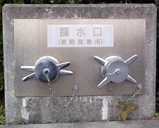 ���ɓ����̐���