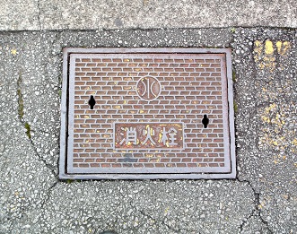 ���ɓ������ΐ�