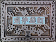 ���ɓ���������