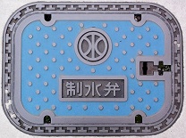 ���ɓ���������