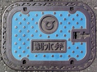 ���ɓ���������