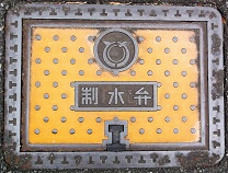 ���ɓ���������