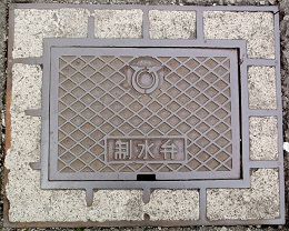 ���ɓ���������