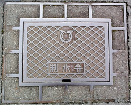 ���ɓ���������