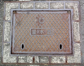 ���ɓ����ʐ���}���z�[��