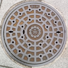 �ɓ��s�}���z�[��