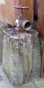 �͒Ò����̏��ΐ�