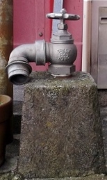 �͒Ò����̏��ΐ�