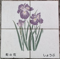 �͒Ò�����