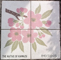 �͒Ò����}���z�[��