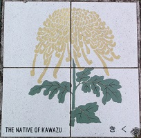 �͒Ò��}���z�[��