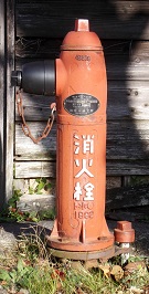 ���c�������̏��ΐ�