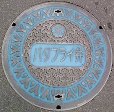 ���c���s�o�^�t���C��