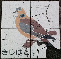 ���c���s����