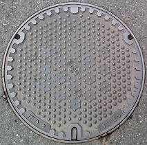 ���c�s�h�ΐ���