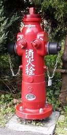 ���c�s�o�����̏��ΐ�