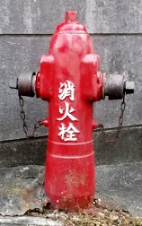 ���c�s�o�����̏��ΐ�