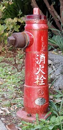 ���c�s���̏��ΐ�