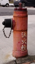 ���c�s���̏��ΐ�