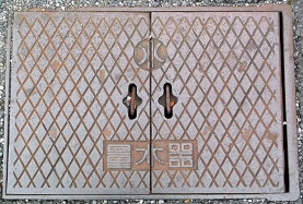 �������ʐ���