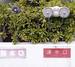 �{���s������