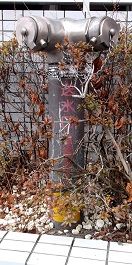 �������s������