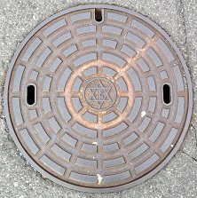 ���{�s�}���z�[��