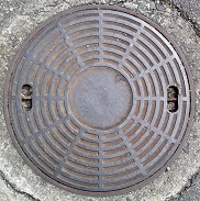 ���{�s�}���z�[��