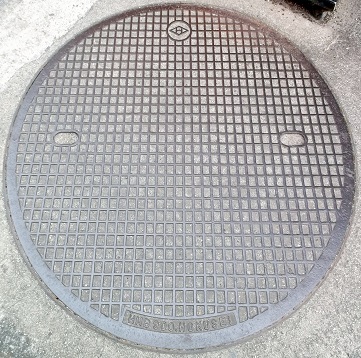 ���{�s�}���z�[��