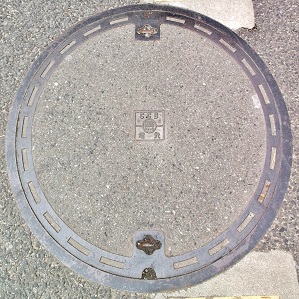 ���Ɍ������a