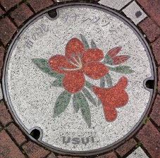 ���c���s�}���z�[��