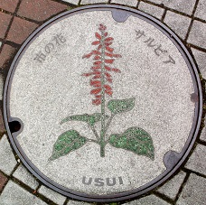 ���c���s�}���z�[��