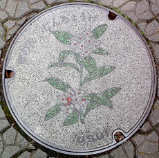 ���c���s�}���z�[��