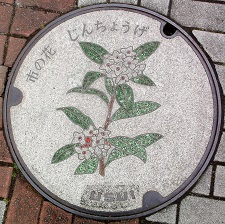 ���c���s�}���z�[��