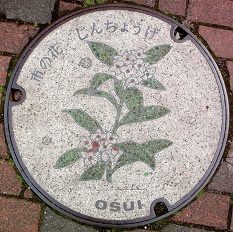 ���c���s�}���z�[��