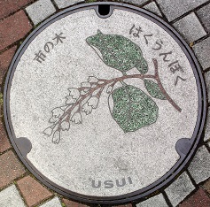 ���c���s�}���z�[��