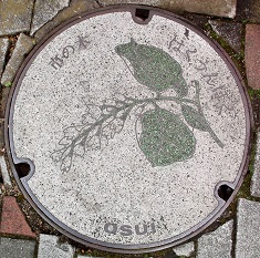 ���c���s�}���z�[��