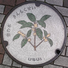 ���c���s�}���z�[��