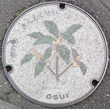 ���c���s�}���z�[��