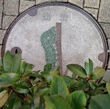 ���c���s�}���z�[��