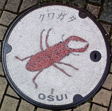 ���c���s�}���z�[��