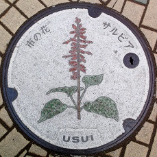 ���c���s�}���z�[��