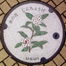 ���c���s�}���z�[��