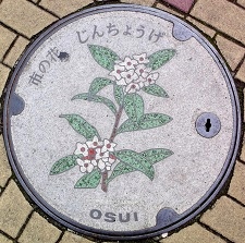 ���c���s�}���z�[��