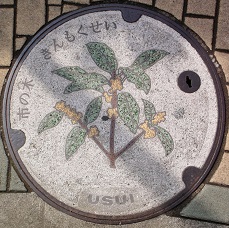 ���c���s�}���z�[��