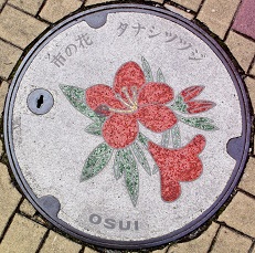 田無市マンホール