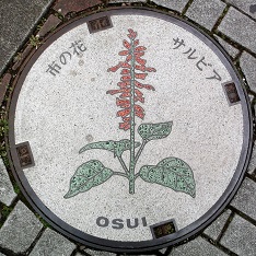 ���c���s�}���z�[��